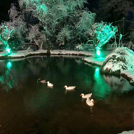 Dipla Sto Potami Hotel Chani Terevou Exterior foto